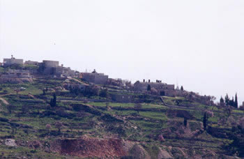 taybeh01