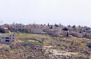taybeh02