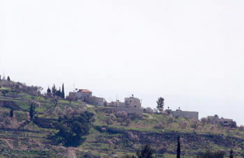 taybeh03