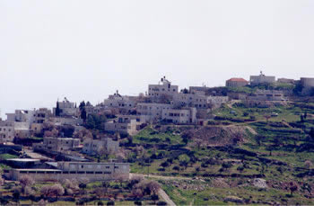 taybeh06