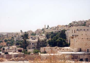 taybeh09