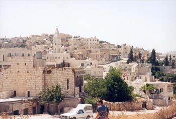 taybeh10